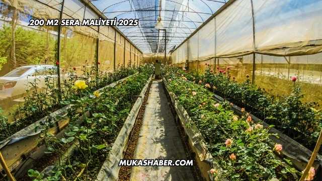 200 M2 Sera Maliyeti 2025
