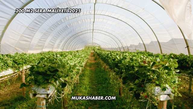 200 M2 Sera Maliyeti 2025