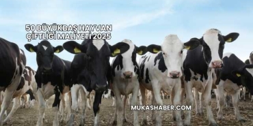 50 Büyükbaş Hayvan Çiftliği Maliyeti 2025
