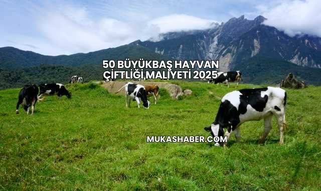 50 Büyükbaş Hayvan Çiftliği Maliyeti 2025