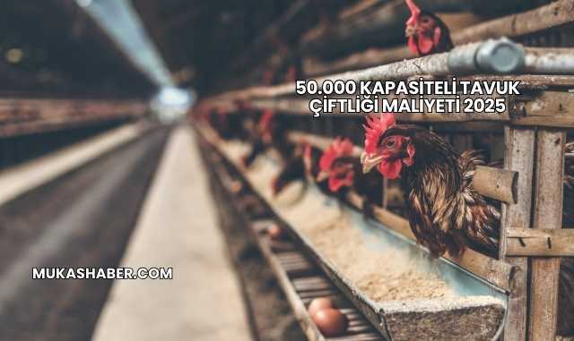 50.000 Kapasiteli Tavuk Çiftliği Maliyeti 2025
