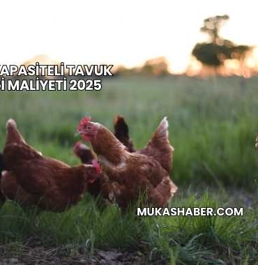 50.000 Kapasiteli Tavuk Çiftliği Maliyeti 2025