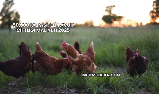 50.000 Kapasiteli Tavuk Çiftliği Maliyeti 2025