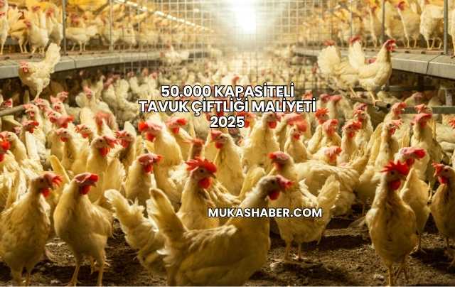 50.000 Kapasiteli Tavuk Çiftliği Maliyeti 2025