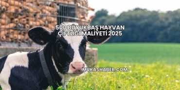 500 Büyükbaş Hayvan Çiftliği Maliyeti 2025