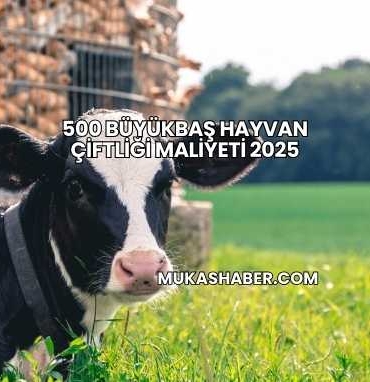 500 Büyükbaş Hayvan Çiftliği Maliyeti 2025