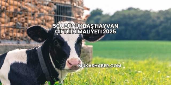 500 Büyükbaş Hayvan Çiftliği Maliyeti 2025