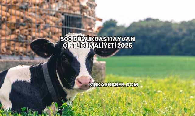 500 Büyükbaş Hayvan Çiftliği Maliyeti 2025