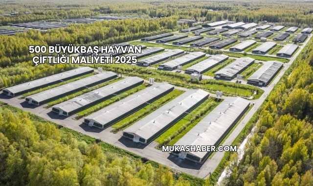 500 Büyükbaş Hayvan Çiftliği Maliyeti 2025