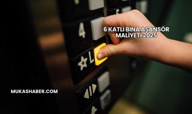 6 Katlı Bina Asansör Maliyeti 2025