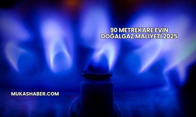 90 Metrekare Evin Doğalgaz Maliyeti 2025