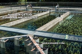Alabalık Çiftliği Kurmanın Maliyeti 2025