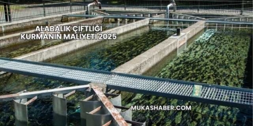 Alabalık Çiftliği Kurmanın Maliyeti 2025
