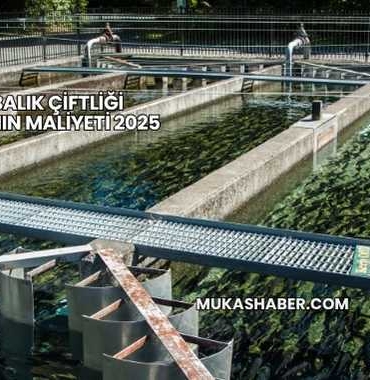 Alabalık Çiftliği Kurmanın Maliyeti 2025