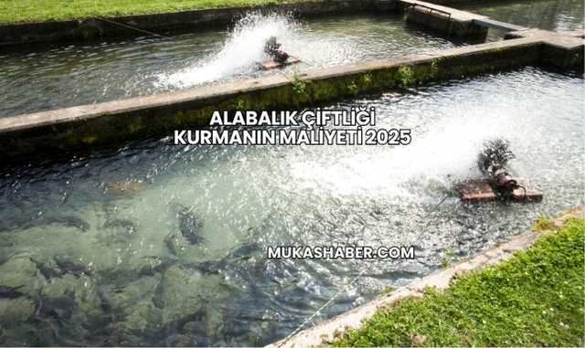 Alabalık Çiftliği Kurmanın Maliyeti 2025