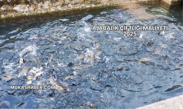 Alabalık Çiftliği Maliyeti 2025