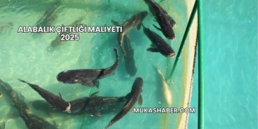 Alabalık Çiftliği Maliyeti 2025