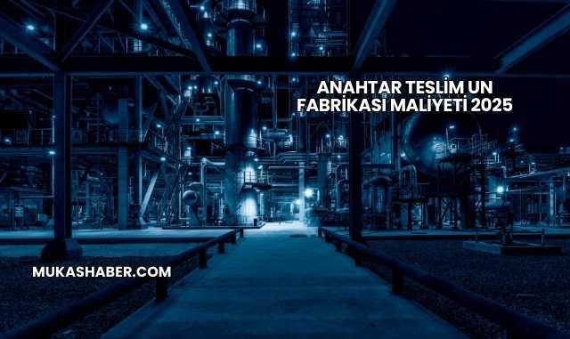 Anahtar Teslim Un Fabrikası Maliyeti 2025