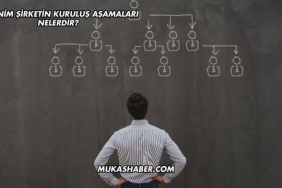 Anonim Şirketin Kuruluş Aşamaları Nelerdir?