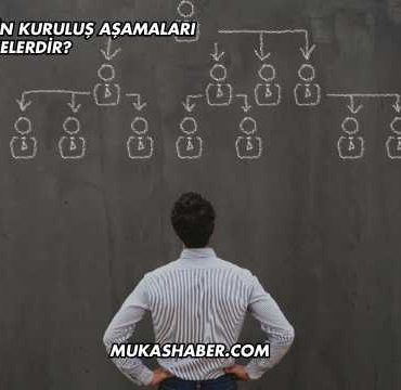 Anonim Şirketin Kuruluş Aşamaları Nelerdir?