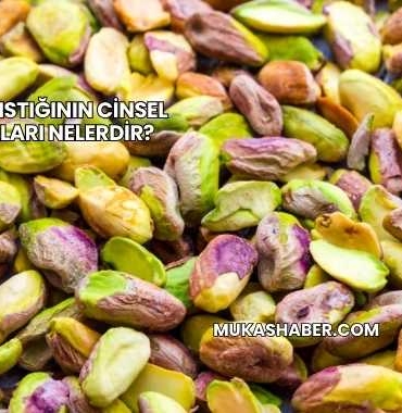 Antep Fıstığının Cinsel Faydaları Nelerdir?