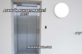 Asansör Ruhsatı Maliyeti 2025