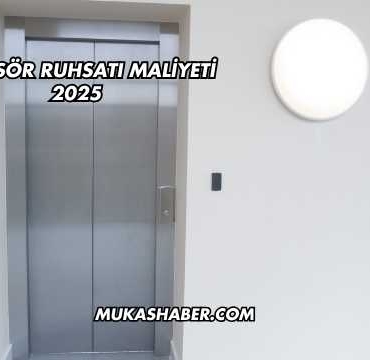 Asansör Ruhsatı Maliyeti 2025