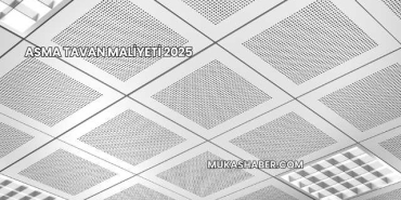 Asma Tavan Maliyeti 2025