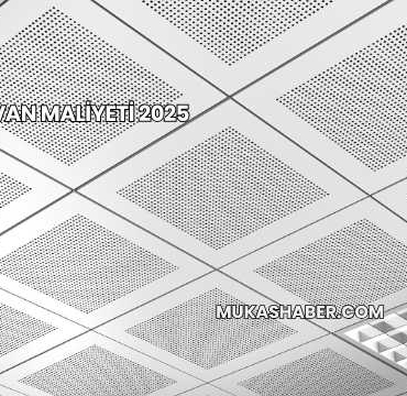 Asma Tavan Maliyeti 2025