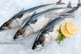 Balık Beyni Yemenin Faydaları Nelerdir?