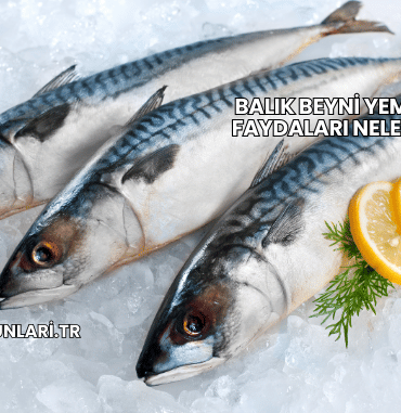 Balık Beyni Yemenin Faydaları Nelerdir?