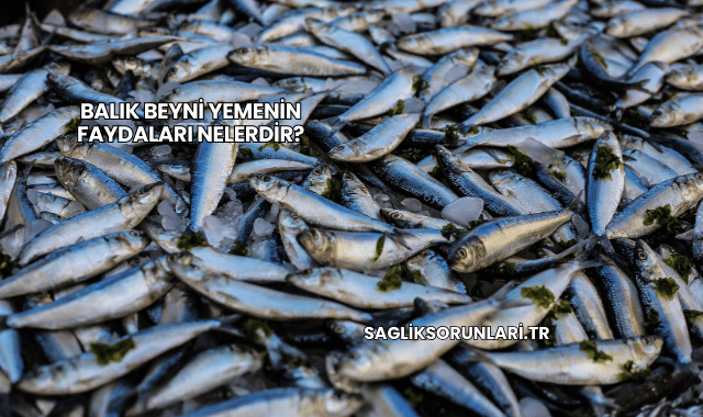 Balık Beyni Yemenin Faydaları Nelerdir?