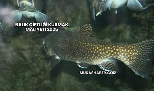 Balık Çiftliği Kurmak Maliyeti 2025