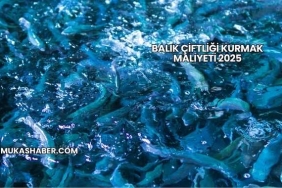 Balık Çiftliği Kurmak Maliyeti 2025