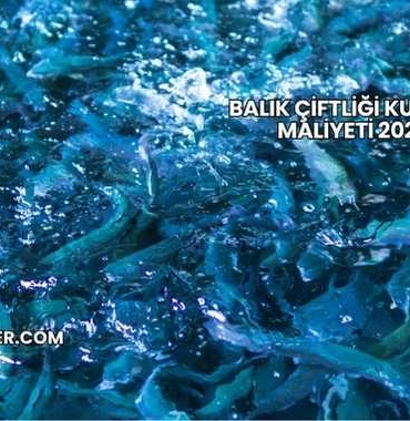 Balık Çiftliği Kurmak Maliyeti 2025