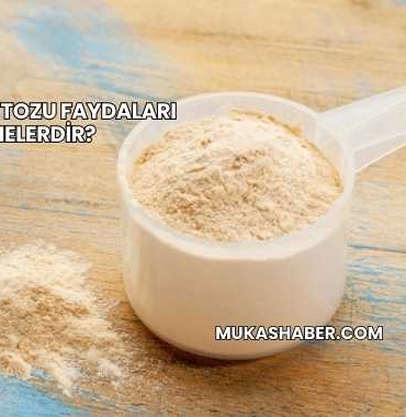 Baobab Tozu Faydaları Nelerdir?