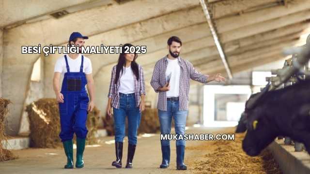 Besi Çiftliği Maliyeti 2025