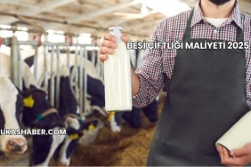 Besi Çiftliği Maliyeti 2025