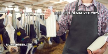 Besi Çiftliği Maliyeti 2025