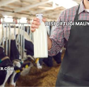 Besi Çiftliği Maliyeti 2025
