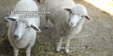 Besi Hayvancılığı Yem Maliyeti 2025