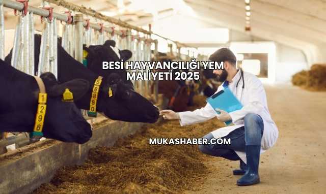 Besi Hayvancılığı Yem Maliyeti 2025