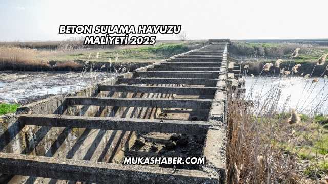 Beton Sulama Havuzu Maliyeti 2025