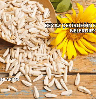 Beyaz Çekirdeğin Faydaları Nelerdir?