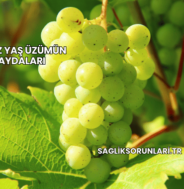 Beyaz Yaş Üzümün Faydaları