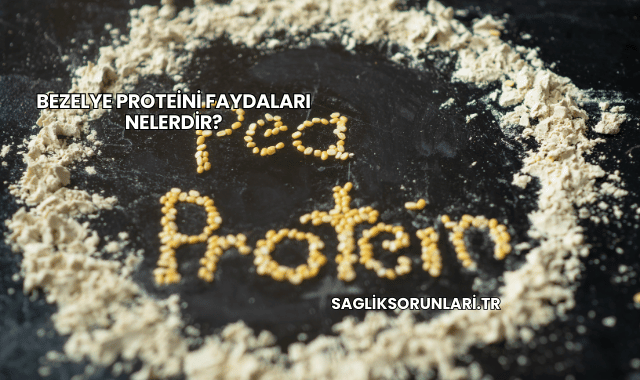 Bezelye Proteini Faydaları Nelerdir?