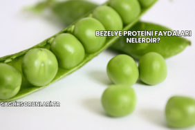 Bezelye Proteini Faydaları Nelerdir?