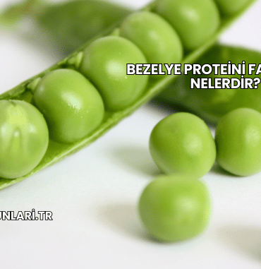 Bezelye Proteini Faydaları Nelerdir?