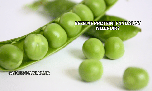Bezelye Proteini Faydaları Nelerdir?