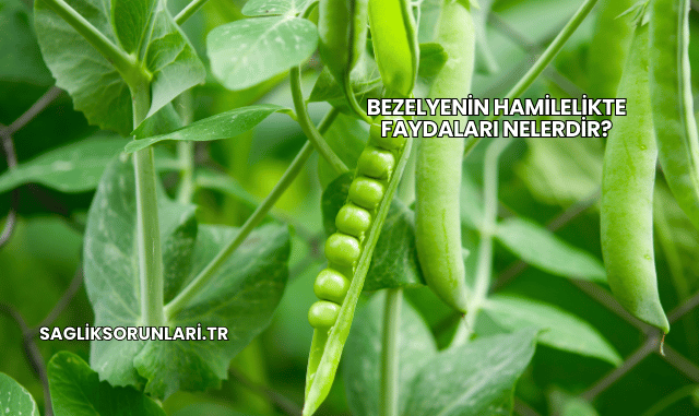 Bezelyenin Hamilelikte Faydaları Nelerdir?